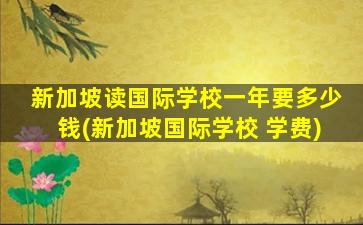 新加坡读国际学校一年要多少钱(新加坡国际学校 学费)